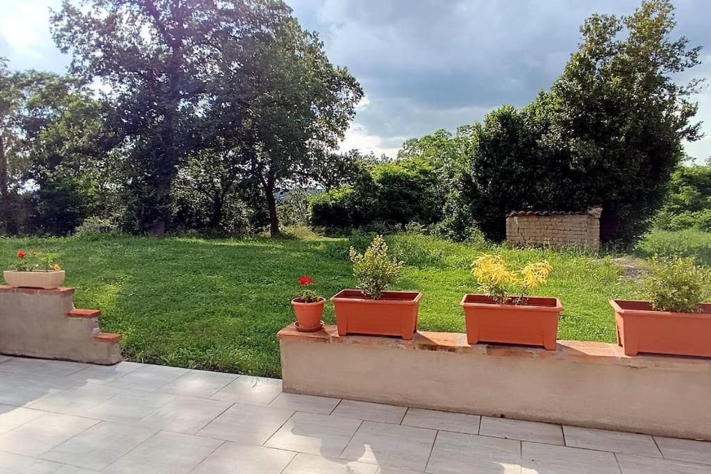 Sous Le Chateau Montaut  Екстериор снимка